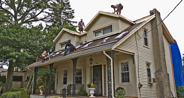 Best Roof Gutter Cleaning  in Parkersburg, WV